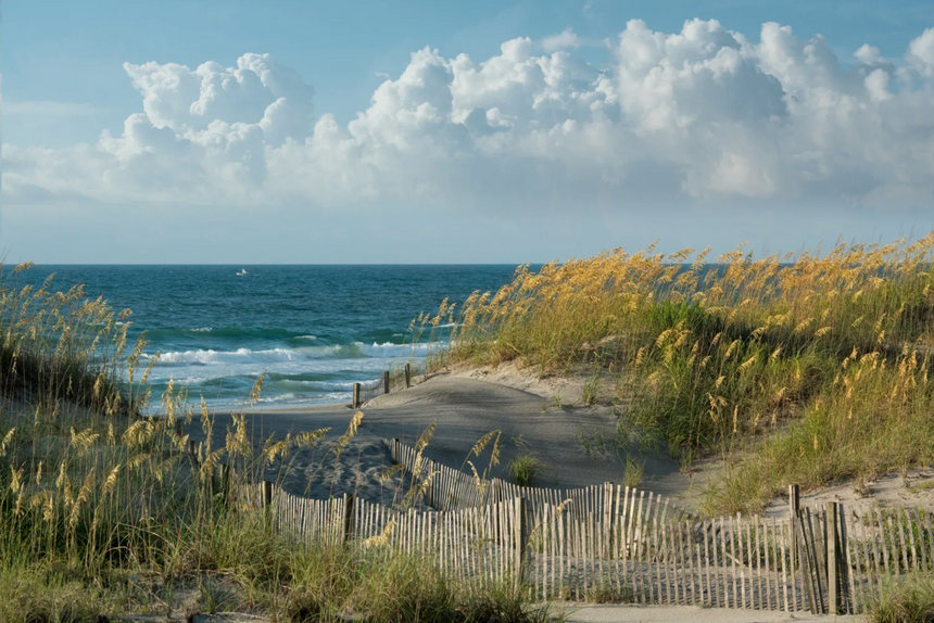 See What Harper Loves About Wrightsville Dunes